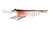 Nomad Design Live Ops Switcher Shrimp Soft Plastic Lure 5in
