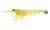 Nomad Design Live Ops Switcher Shrimp Soft Plastic Lure 5in