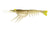 Nomad Design Live Ops Switcher Shrimp Soft Plastic Lure 5in