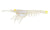 Nomad Design Live Ops Switcher Shrimp Soft Plastic Lure 5in