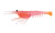 Nomad Design Live Ops Switcher Shrimp Soft Plastic Lure 5in