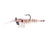 Samaki Live Shrimp Soft Plastic Lure 50mm