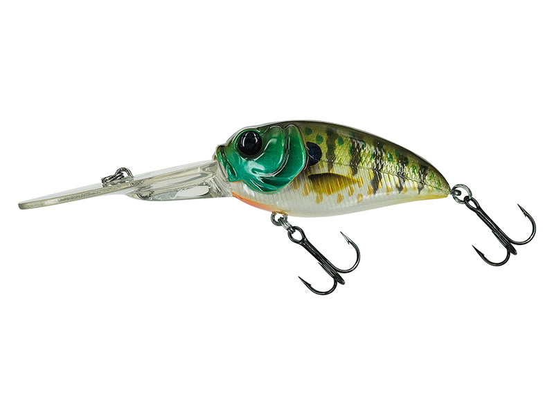Molix Sculpo Xd Crank 2.5 Hard Body Lure