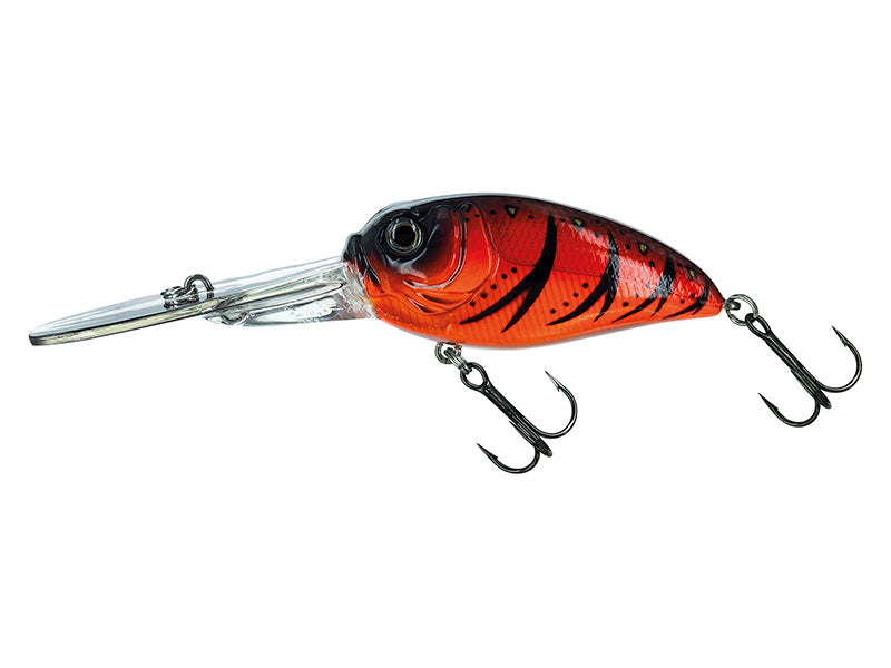 Molix Sculpo Xd Crank 2.5 Hard Body Lure