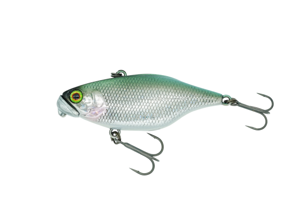 Jackall Dstyle TN60 SS Silver Fang Carp
