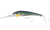 Nomad DTX HD Hard Body Trolling Lure 220mm