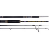 Penn Ultimate Authority Shore Power Casting Package