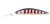 Daiwa Steez Current Master Hard Body Lure 93 EXDR
