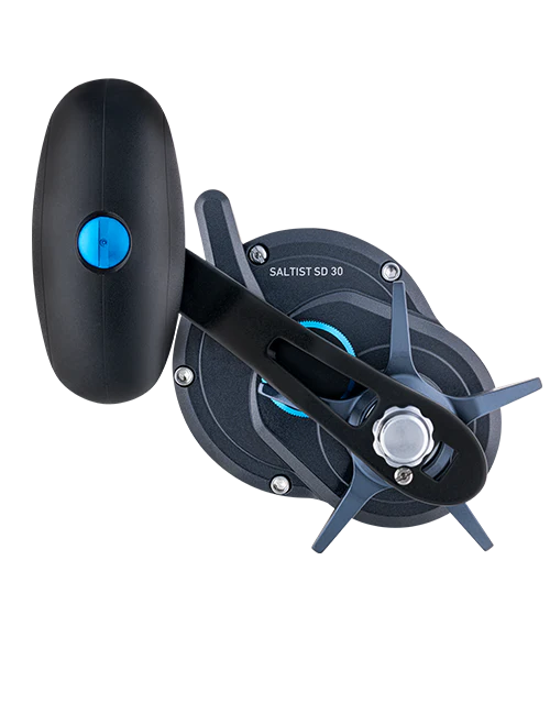 Daiwa 25 Saltist SD Overhead Reel