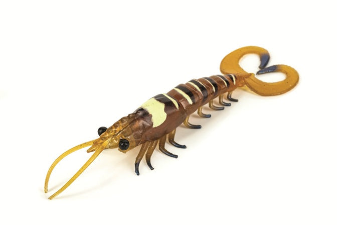 Molix Twin Tail Prawn 5in Aussie Tiger Prawn