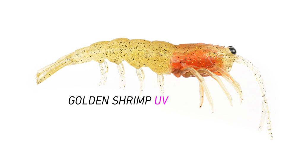 Pro Lure Clone Prawn 75mm Golden Shrimp