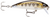 Rapala X-Rap CD Countdown Hard Body Lure 7cm