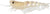 Fishcraft Dr Prawn Soft Plastic Lure Unrigged 5 Inch