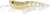 Fishcraft Dr Prawn Soft Plastic Lure Unrigged 5 Inch