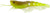 Fishcraft Dr Prawn Soft Plastic Lure Unrigged 5 Inch