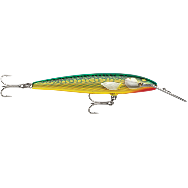 Rapala Countdown CD Magnum Elite Hard Body Lure 185