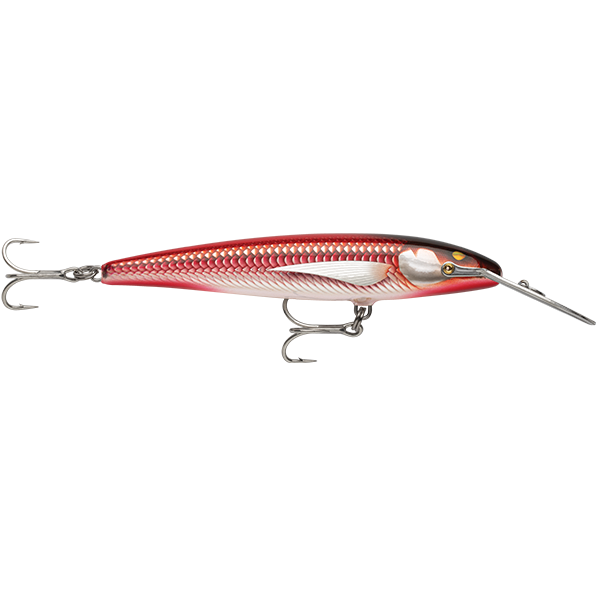 Rapala Countdown CD Magnum Elite Hard Body Lure 185