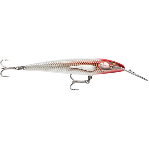 Rapala Countdown CD Magnum Elite Hard Body Lure 185