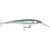 Rapala Countdown CD Magnum Elite Hard Body Lure 185