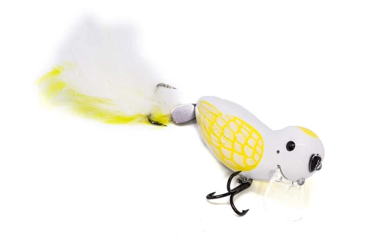 budgie fishing lure Barambah Manic Budgie Bird Surface Walker Cod Lure