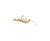 ZMan PrawnZ Elite Soft Plastic Lure Two Pack 2.5in