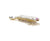 ZMan PrawnZ Elite Soft Plastic Lure Unrigged 5in