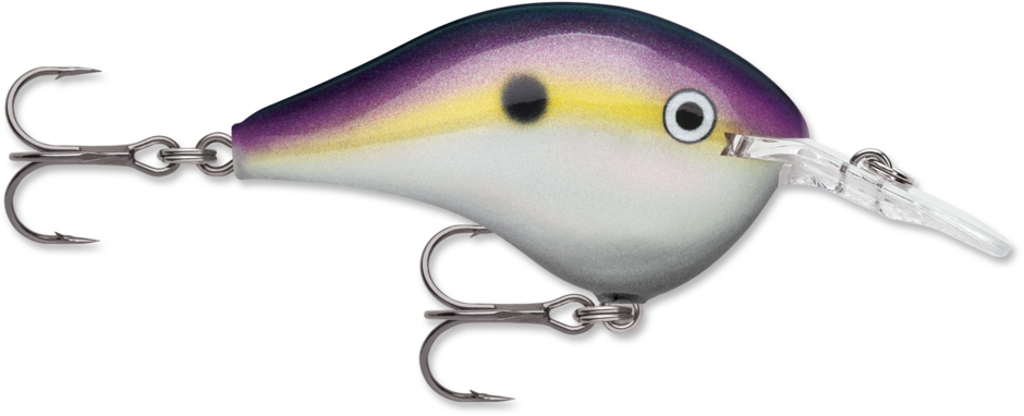 Rapala DT Dives To 12 Hard Body Lure