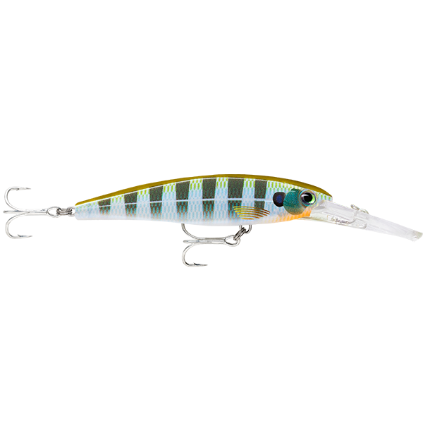 Rapala SXRD Saltwater X Rap Deep Hard Body Lure 11cm