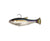 Zman Shadtron LT Soft Plastic Lure 4.5