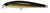 Lucky Craft Flash Minnow Hard Body Lure 65TR