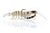 Chasebaits Flick Prawn 65mm Soft Plastic Lure