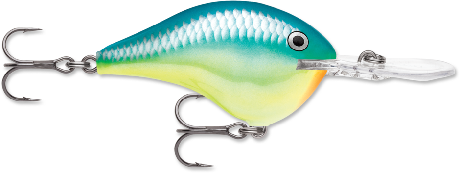Rapala DT Dives To 4 Hard Body Lure
