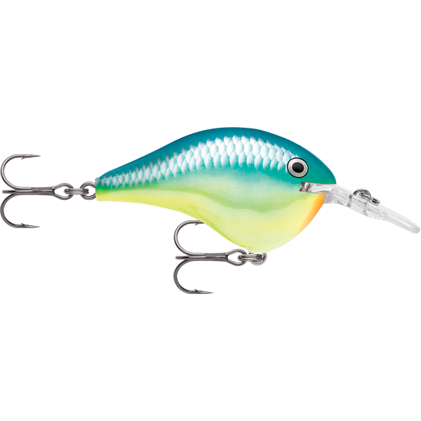 Rapala DT Dives To 12 Hard Body Lure