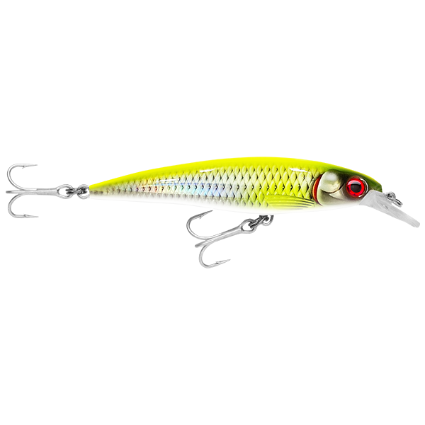 Rapala Saltwater X Rap 12 Hard Body Lure SXR12
