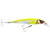 Rapala Saltwater X Rap 12 Hard Body Lure SXR12