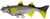 Panic Stations The Mullet Lure 5 inch