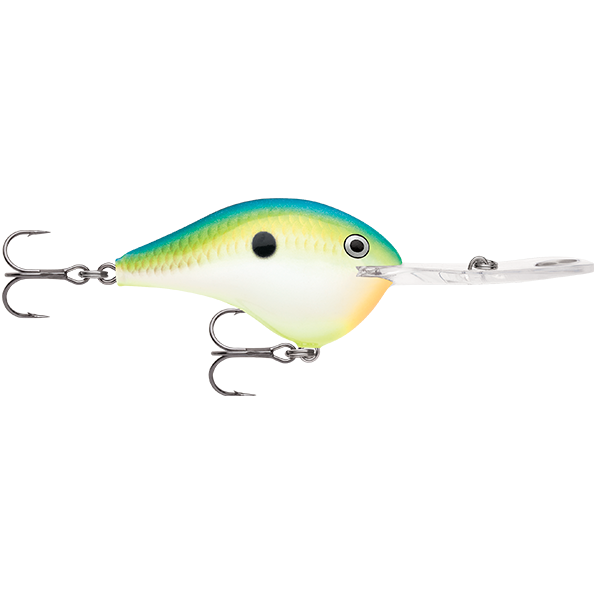 Rapala DT 20 Dives To 20 Foot Crankbait Hard Body Lure