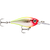 Rapala X-Light Shad Hard Body Lure 04