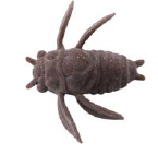 Tiemco Panic Cicada Tiny Soft Plastic Lure