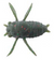 Tiemco Panic Cicada Tiny Soft Plastic Lure