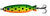 Wingstons Tassie Tasmanian Devil Pegron Spoon Lure