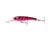 Fishcraft Dr Stretch Hard Body Lure 85