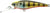 Lucky Craft Bevy Shad Hard Body Lure 60SP