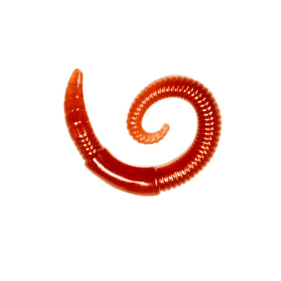 Lunkerhunt River Worm Soft Plastic Lure