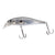 Bite Science H2 Minnow Hard Body Lure 65SP