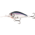13 Fishing Cliff Banger Hard Body Lure 8