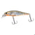 Bite Science H2 Minnow Hard Body Lure 65SP