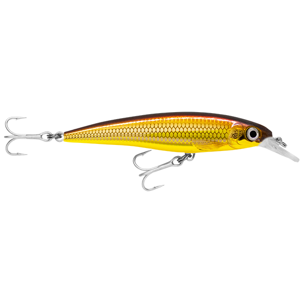 Rapala Saltwater X Rap 12 Hard Body Lure SXR12