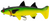 Panic Stations The Mullet Lure 8 inch