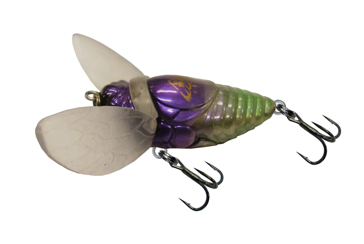 Warlock Moth Cicada Surface Walker Lure